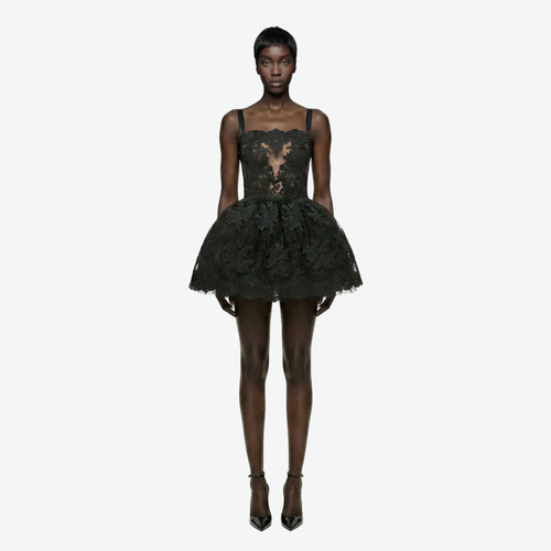 Mini Dress in Embroidered Lace