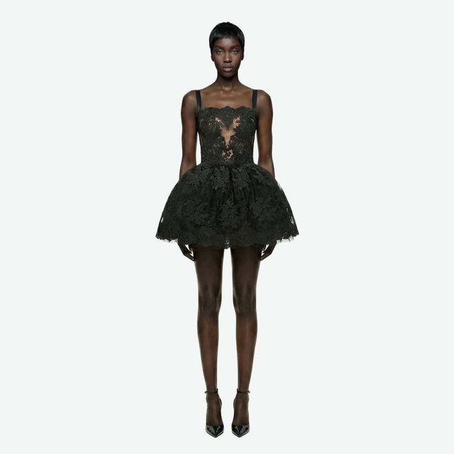 Mini Dress in Embroidered Lace