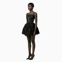 Mini Dress in Embroidered Lace